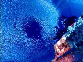 プランの魅力 写真に残せる思い出！ の画像