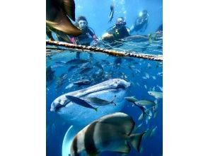 プランの魅力 写真に残せる感動体験！ の画像