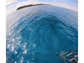 プランの魅力 美しい海は眺めているだけでも癒し！ の画像