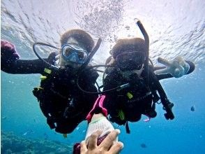 プランの魅力 海に入れば無重力の浮遊体験 の画像