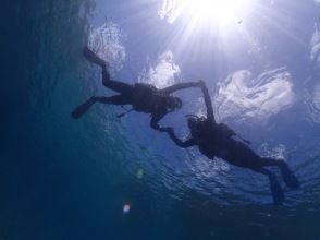 プランの魅力 海で思いっきり遊びましょう！ の画像