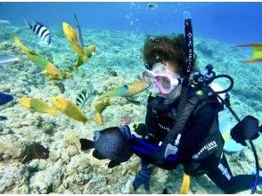 プランの魅力 魚たちと一緒に泳ぐ感動！ の画像