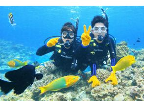 プランの魅力 写真に残せる感動体験！ の画像