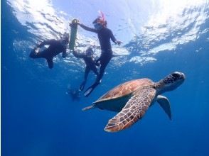 プランの魅力 Let's swim with sea turtles ♪ の画像