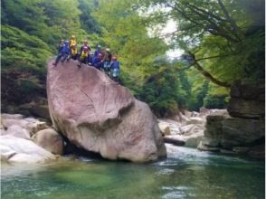 プランの魅力 いつからあるのか謎の大岩 の画像