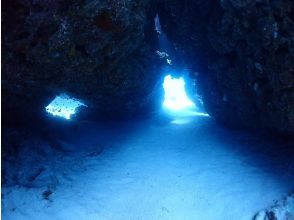 プランの魅力 その海の青さから水納ブルーと呼ばれる縄本島周辺では屈指の透明度の水納島！ の画像