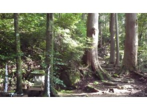 プランの魅力 世界遺產“熊野古道” の画像