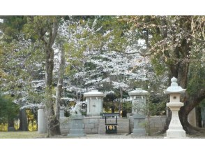 プランの魅力 龍神居住的複活之地 の画像