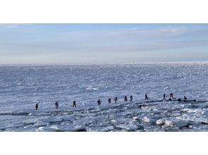 プランの魅力 Drift ice as far as the eye can see! の画像