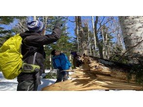 プランの魅力 様々な痕跡！ の画像