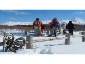 プランの魅力 ガイドと共にスノーシューを履き散策します☆ の画像