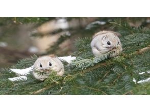 プランの魅力 小さな音にも要注意！ の画像