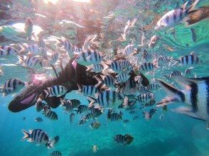 プランの魅力 熱帯魚と触れ合うお客様 の画像