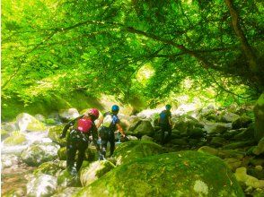 プランの魅力 A walk full of greenery の画像