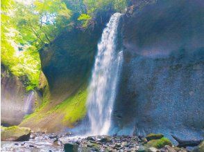 プランの魅力 飛沫をあげる滝の数々 の画像