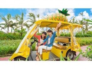 プランの魅力 名护菠萝园:约1小时 の画像