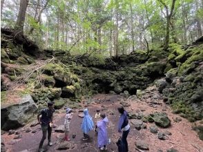 プランの魅力 如果因為天氣原因不能劃獨木舟也沒關係！ の画像