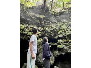 プランの魅力 富士山のパワーを思い知る の画像