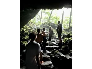 プランの魅力 富士山のパワーを思い知る の画像