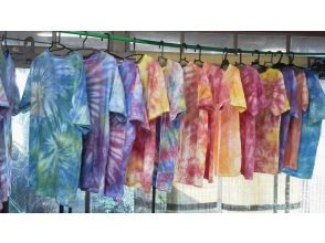 プランの魅力 絞り染Tシャツ の画像