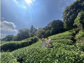 プランの魅力 茶源峽獨有的地點☆ の画像