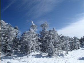 プランの魅力 樹氷も見もの の画像