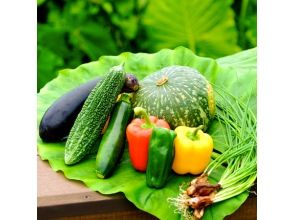 プランの魅力 近隣の農家が育てた野菜たち の画像