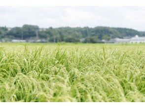 プランの魅力 素材を吟味 の画像