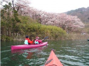 プランの魅力 春はやっぱりお花見！ の画像