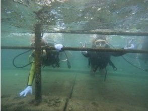 プランの魅力 初めは浅場でじっくり練習 の画像