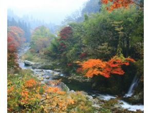 プランの魅力 名倉川遊歩道 の画像