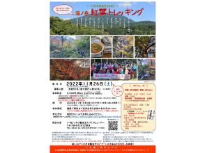 プランの魅力 の画像