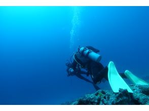 プランの魅力 水中でふわふわ浮ぶ の画像