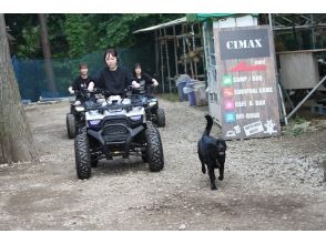 プランの魅力 看板犬が先導！？ の画像