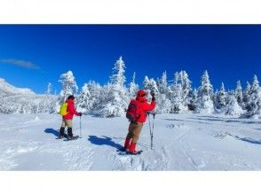 プランの魅力 憧れの聖地北八ッの森へようこそ！ の画像