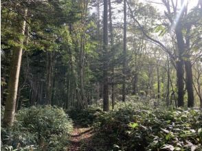 プランの魅力 静かな自然散策路！ の画像