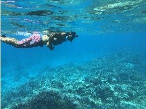 プランの魅力 Explore the world of the sea with snorkeling! の画像