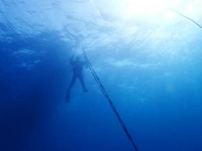 プランの魅力 海の青さが際立ちます の画像