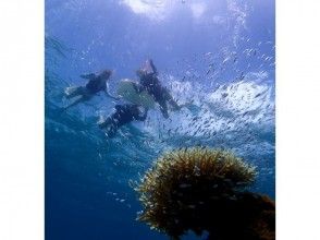 プランの魅力 浮潛 の画像