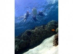 プランの魅力 Snorkel の画像