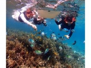 プランの魅力 浮潛 の画像