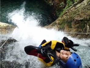 プランの魅力 惊险 の画像