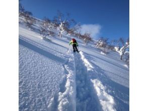 プランの魅力 climbing back up の画像