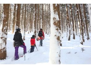 プランの魅力 雪の上は歩くだけでも新鮮!? の画像