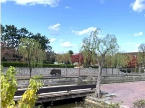 プランの魅力 西大畑公園の堀と柳 の画像