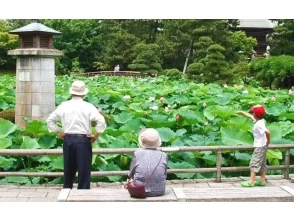 プランの魅力 蓮の花 の画像