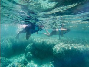 プランの魅力 宮古島のサンゴ礁を満喫！ の画像
