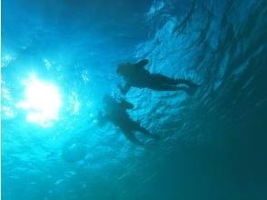 プランの魅力 水中からの撮影☆思い出の写真をプレゼント の画像