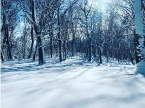 プランの魅力 Enjoy the quiet winter forest! の画像