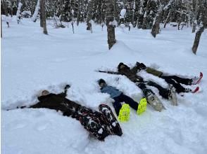 プランの魅力 The forest is a powder snow heaven! の画像